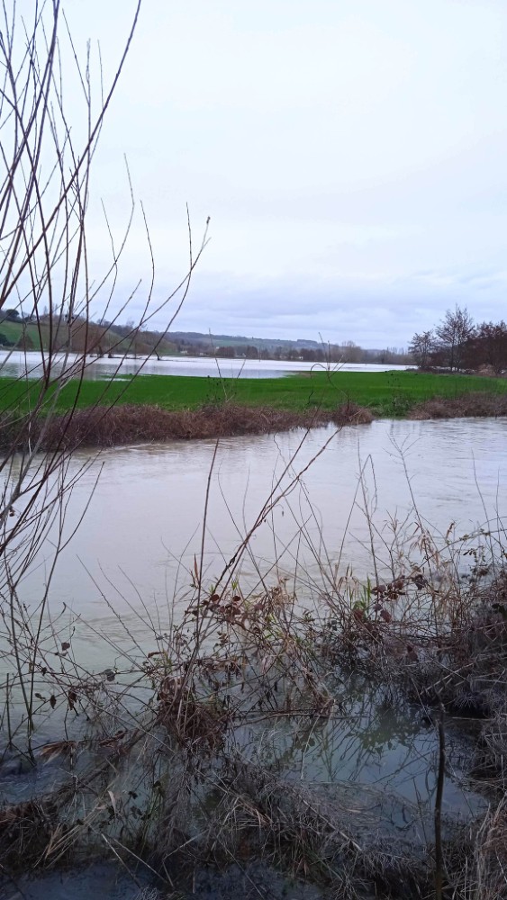 InondationSaintPierreDeClairac-8